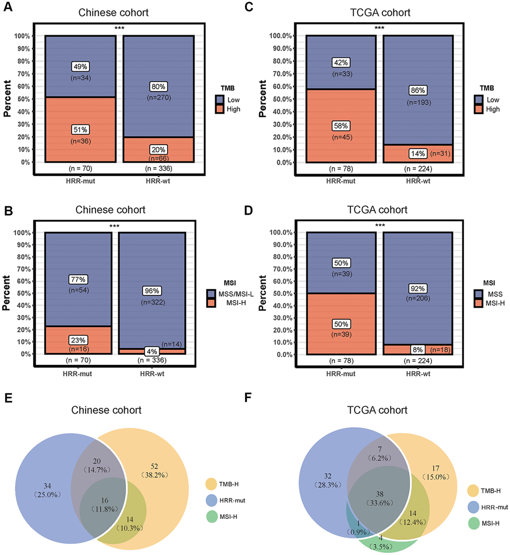 Associations among mutations in HRR genes, TMB and the MSI status. (A–C) Bar plots showing the percentage of TMB-high patients in the HRR-mut group compared with the HRR-wt group in the Chinese (A) and TCGA (C) cohorts. (B–D) Bar plots showing the percentage of MSI-H patients in the HRR-mut group compared with the HRR-wt group in the Chinese (B) and TCGA (D) cohorts. Comparisons between the groups were performed with Fisher’s exact test (* P P P P > 0.05). (E, F) Venn diagrams illustrating the overlap between patients with HRR-mut, TMB-H, and MSI-H COAD in the Chinese (E) and TCGA (F) cohorts.