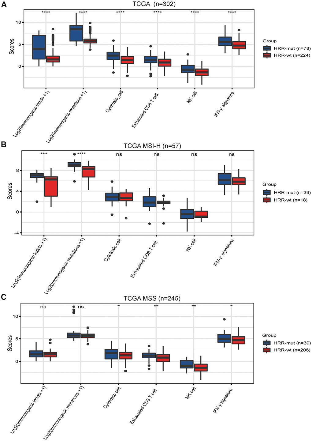 Mutations in HRR genes are associated with tumor immunogenicity and immune activity. Box plots showing the scores of immunogenic mutations, immunogenic indels, cytotoxic cells, exhausted CD8+ T cells, NK cells and IFN-γ signatures in the TCGA (A), TCGA MSI-H (B) AND TCGA MSS (C) cohorts. The scores for immunogenic mutations and indels are shown in log2-transformed format. P values were calculated with the Mann–Whitney U test; the box shows the upper and lower quartiles (* P P P P > 0.05).