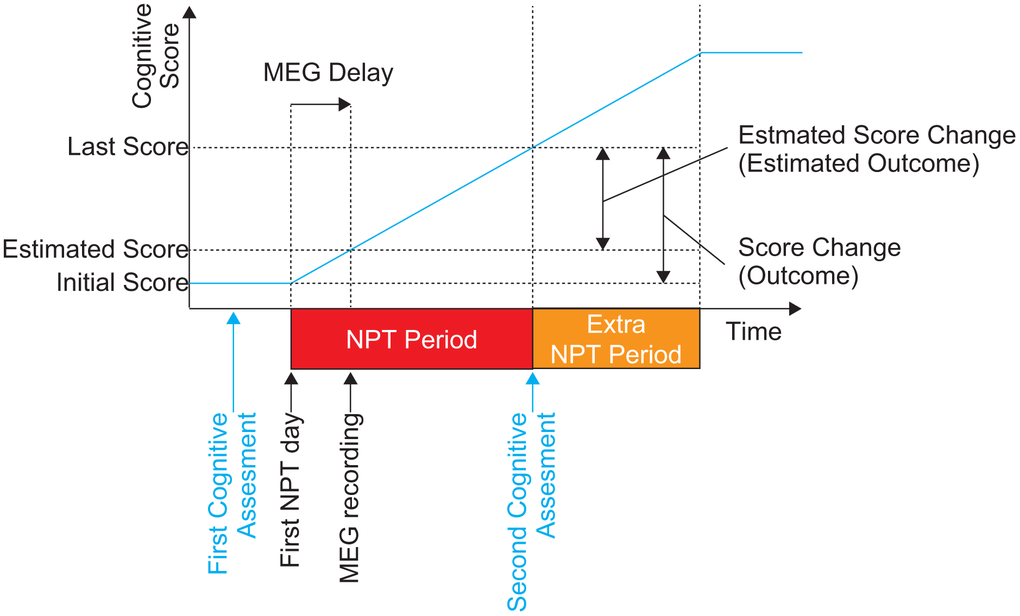 The schematic description of the time course of the present study. The diagram shows the order of the NPT, cognitive assessments, and MEG recording. Cognitive assessments (both MMSE-J and ADAS-J Cog) were conducted twice. The first assessment was performed before the first day of NPT. The NPT period was defined between the first day of NPT and day of the second cognitive assessments. MEG recording was conducted within the NPT period as early as possible. The blue line shows the hypothetical change in cognitive performance. NPT, non-pharmacological treatment; MMSE-J, Japanese version of the Mini-Mental State Examination; ADAS-J Cog, Japanese version of the Alzheimer's Disease Assessment Scale-Cognitive Subscale; MEG, magnetoencephalography.