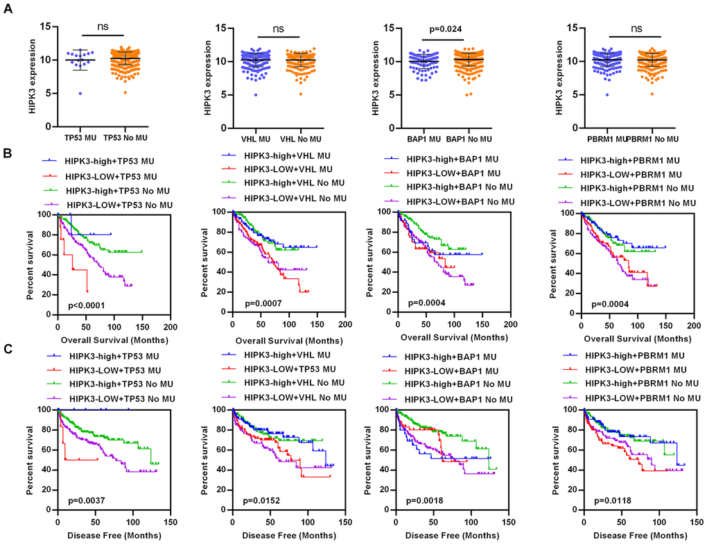 Aging Identification Of Hipk3 As A Potential Biomarker And An Inhibitor Of Clear Cell Renal Cell Carcinoma Full Text