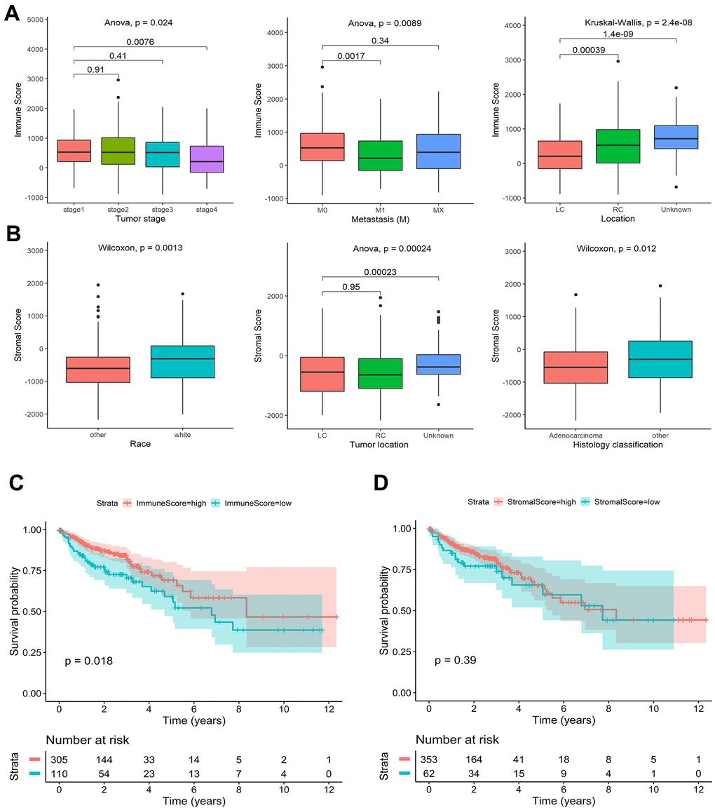 Association of stromal and immune scores with colon cancer clinical characteristics and prognosis in TCGA. (A) Significant differences in the distribution of immune scores among different tumor stage, metastasis, and tumor location groups. (B) Significant differences in the distribution of stromal scores among different race, tumor location, and histology classification groups. (C) Kaplan-Meier survival curves of high and low immune score groups. (D) Kaplan-Meier survival curves of high and low stromal score groups.
