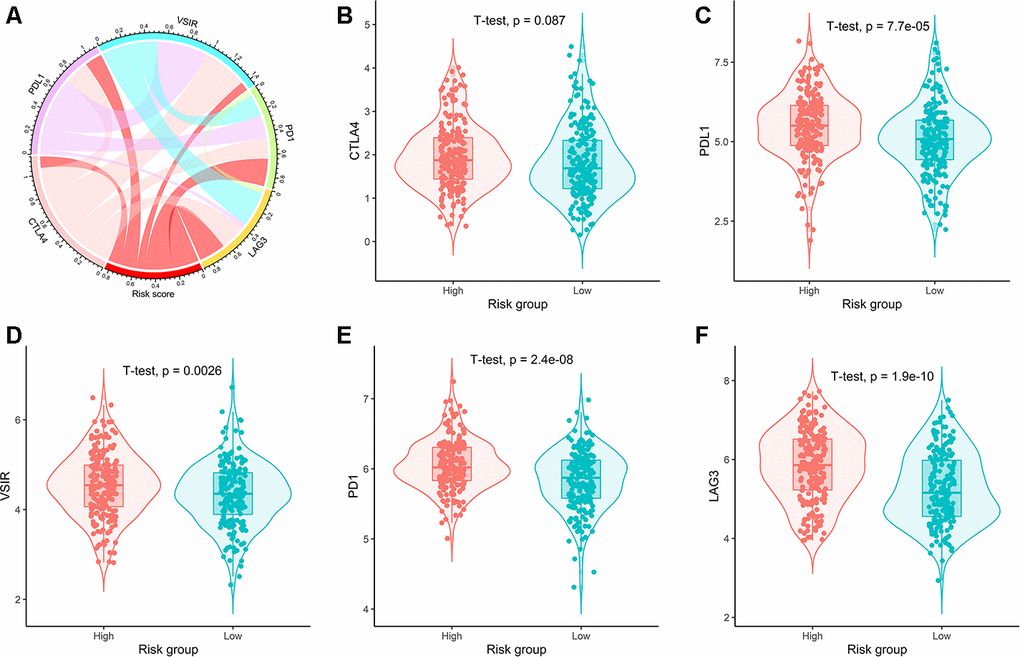 Correlation of risk scores with expression of five prominent immune checkpoints. (A) Circular plot visualizing correlation coefficient of risk scores with expression of five common immune checkpoints. Box plots showing comparison of the expression of (B) CTLA4, (C) PDL1, (D) VSIR, (E) PD1, and (F) LAG3 between high- and low-risk groups.
