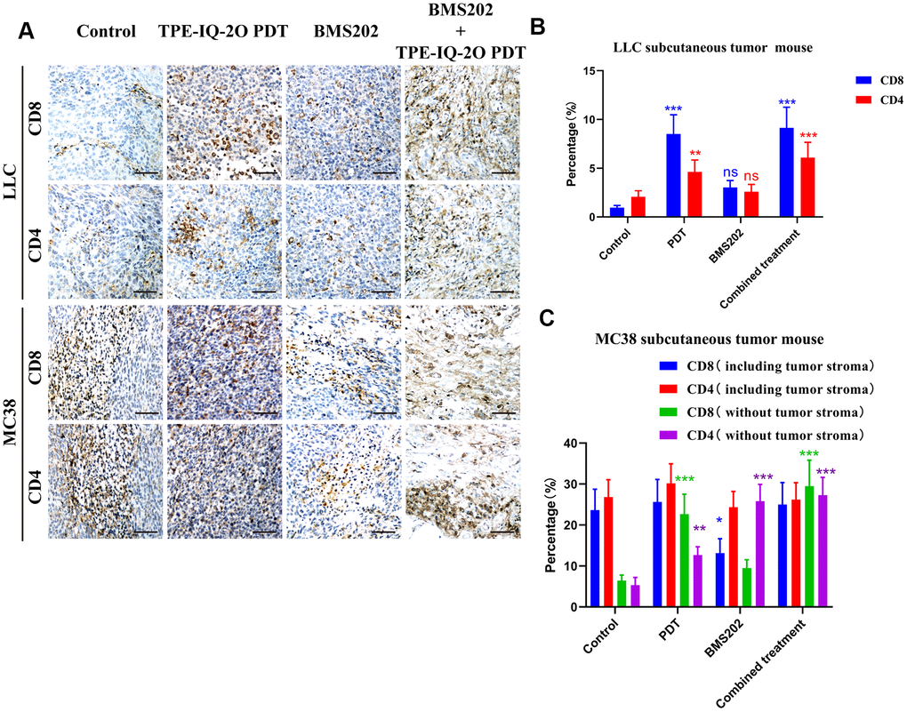 Immunohistochemistry showed that TPE-IQ-2O PDT combined with immunotherapy increased the infiltration of CD8+ T cells into tumors. (A) Microscopic observation of CD4+CD8+ T lymphocyte infiltration in the subcutaneous LLC or MC38 tumors in each group, scale bar: 150 μm. (B, C) The proportion of CD4+CD8+ T lymphocytes in the subcutaneous LLC or MC38 tumors in each group; *P P P 