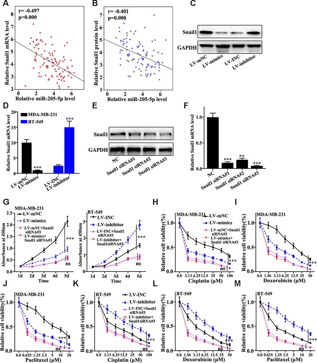 Microrna 205 5p Targets The Hoxd9 Snail1 Axis To Inhibit Triple Negative Breast Cancer Cell 1462