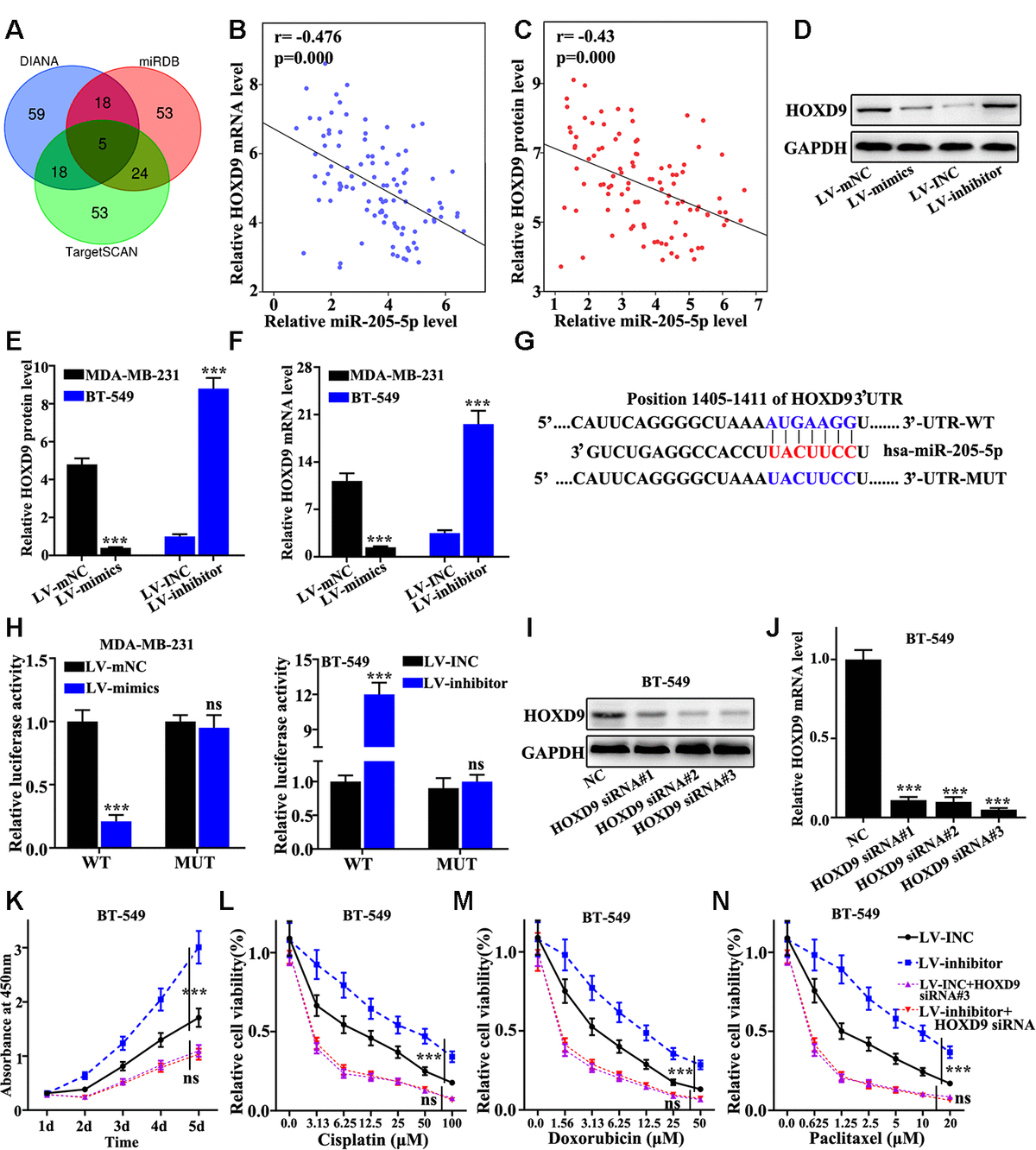 Microrna 205 5p Targets The Hoxd9 Snail1 Axis To Inhibit Triple Negative Breast Cancer Cell 0674