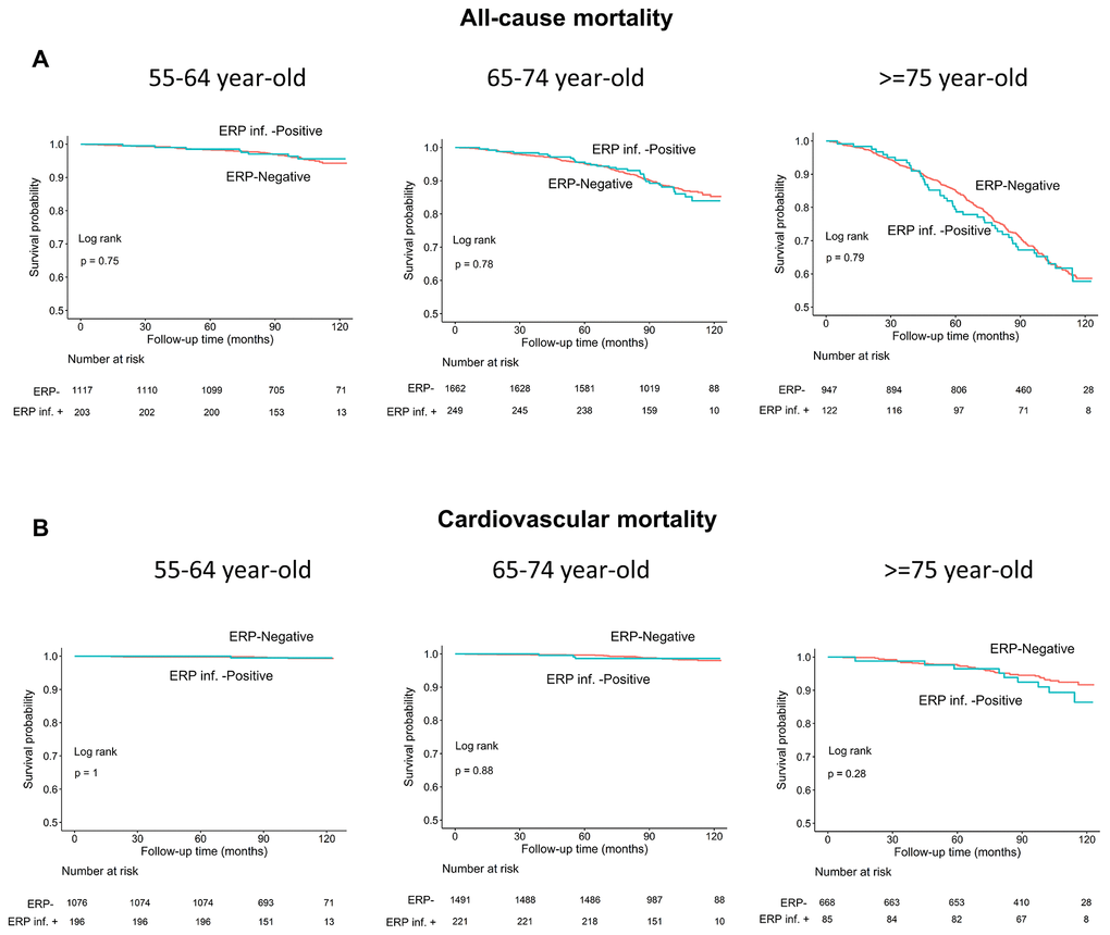 Kaplan–Meier survival curves show (A) all-cause and (B) cardiovascular mortality rates of individuals with and without early repolarization pattern in inferior leads stratified by age.