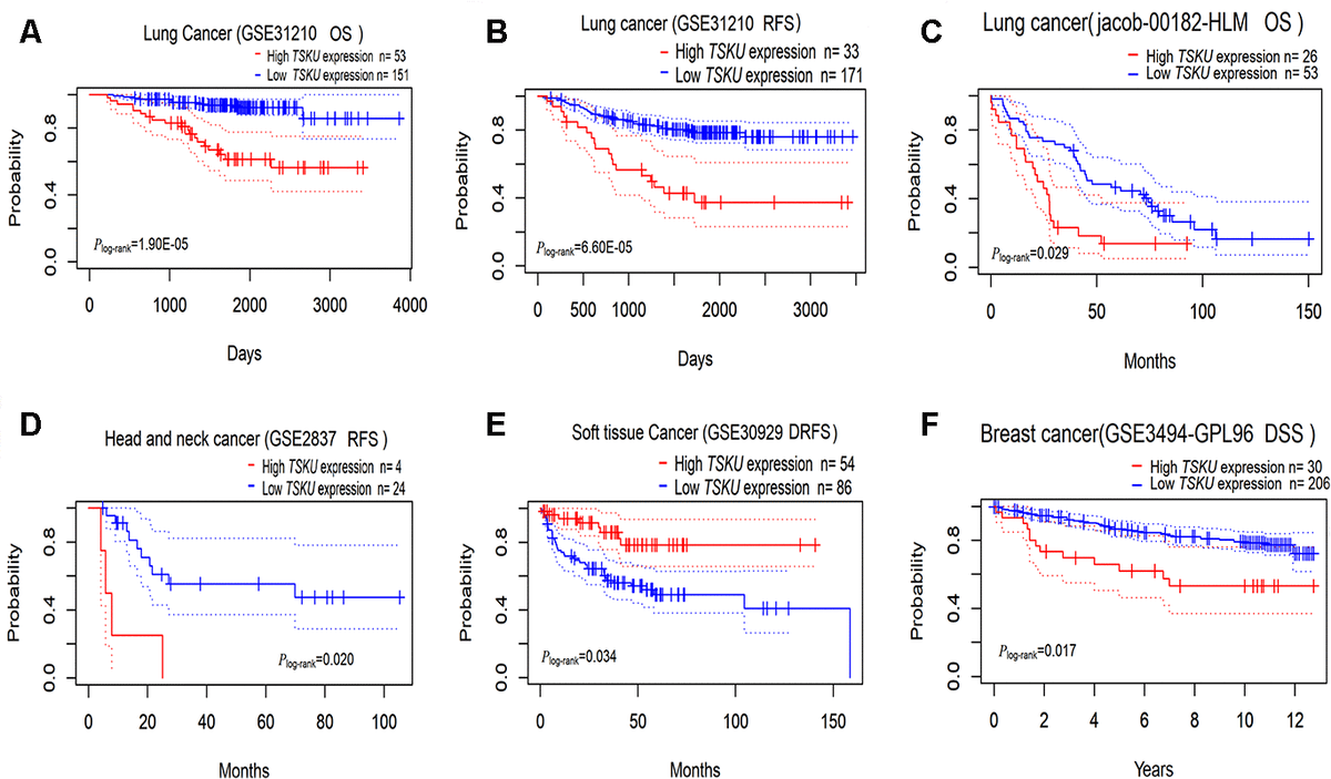 Tsukushi Is A Novel Prognostic Biomarker And Correlates With Tumor ...