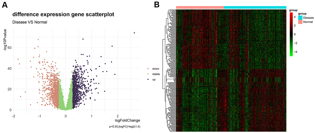 (A) Volcano plot of differential expression analysis results. The abscissa is logFC and the ordinate is –log10 P value. The upper right part has a P value less than 0.01 and a fold change greater than 1.5, indicating significant DEGs with higher expression levels. The upper left part has a P value less than 0.01 and a fold change less than −1.5, indicating significant DEGs with reduced expression. The green dots represent the remaining stable genes. (B) Heatmap of DEGs. The colors in the graph from red to green indicate high to low expression. On the upper part of the heatmap, the red band indicates the disease samples and the blue band indicates the normal samples.