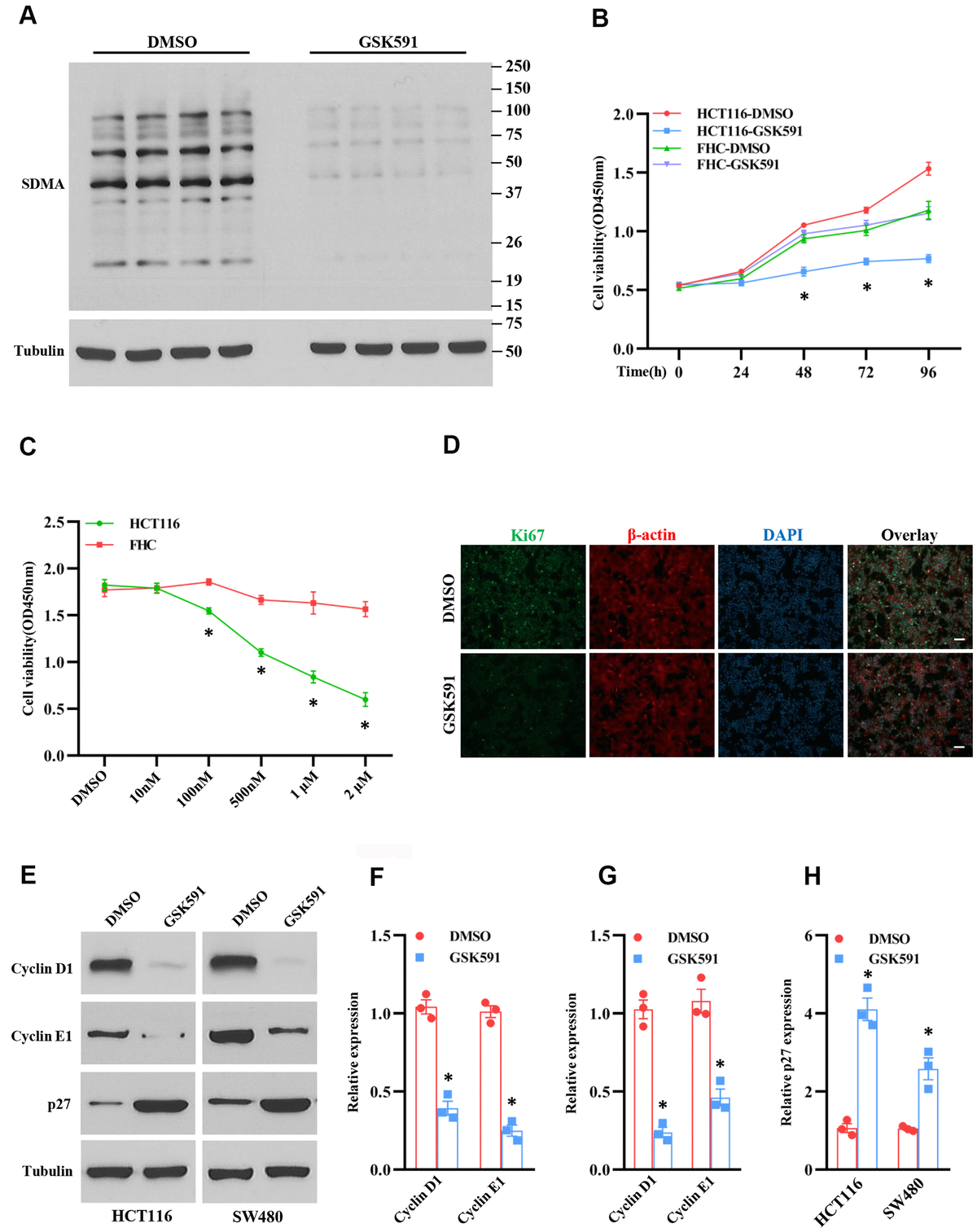 PRMT5 regulates colorectal cancer cell growth and EMT via EGFR/Akt ...