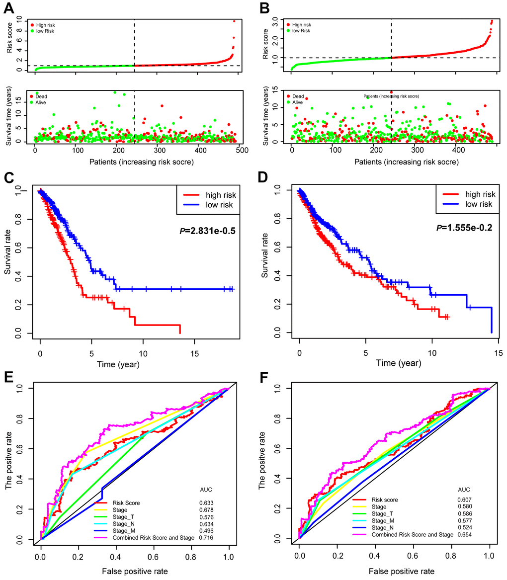 Prognostic values of the 15-gene signature in the TCGA lung cancer patients. The distribution of risk scores and survival statuses of patients in the LUAD (A) and LUSC cohorts (B). Kaplan-Meier survival curves of patients defined by low and high risk scores in LUAD (C) and LUSC (D). ROC curves with different characteristics of patients, as indicated in LUAD (E) and LUSC (F).