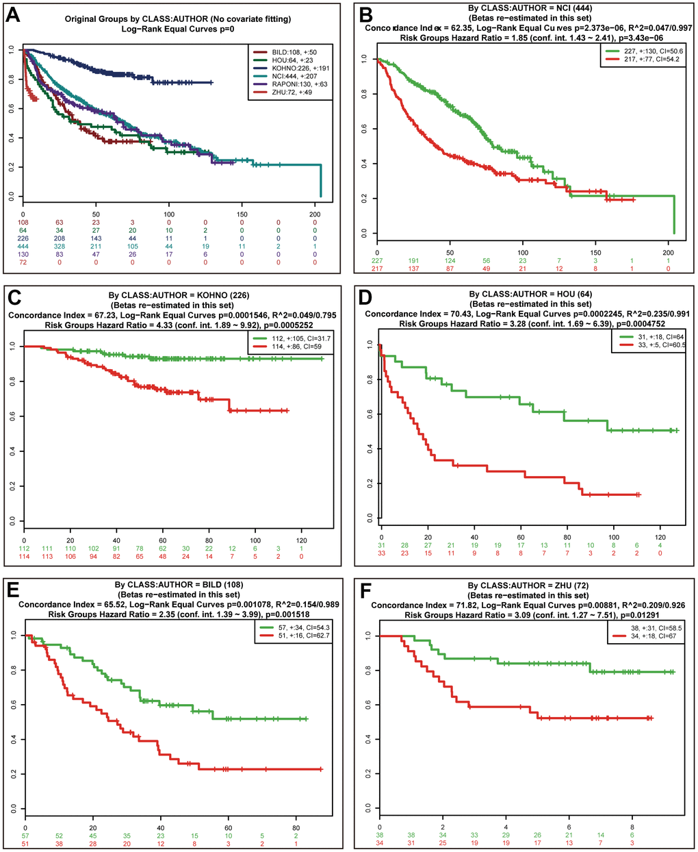 Validation of the prognostic power of risk scores in the independent lung cancer cohorts. Kaplan-Meier survival curves of 6 independent lung cancer cohorts (A). Performance of risk scores in the NCI (B), KOHNO (C), HOU (D), BILD (E), and ZHU (F) cohorts.
