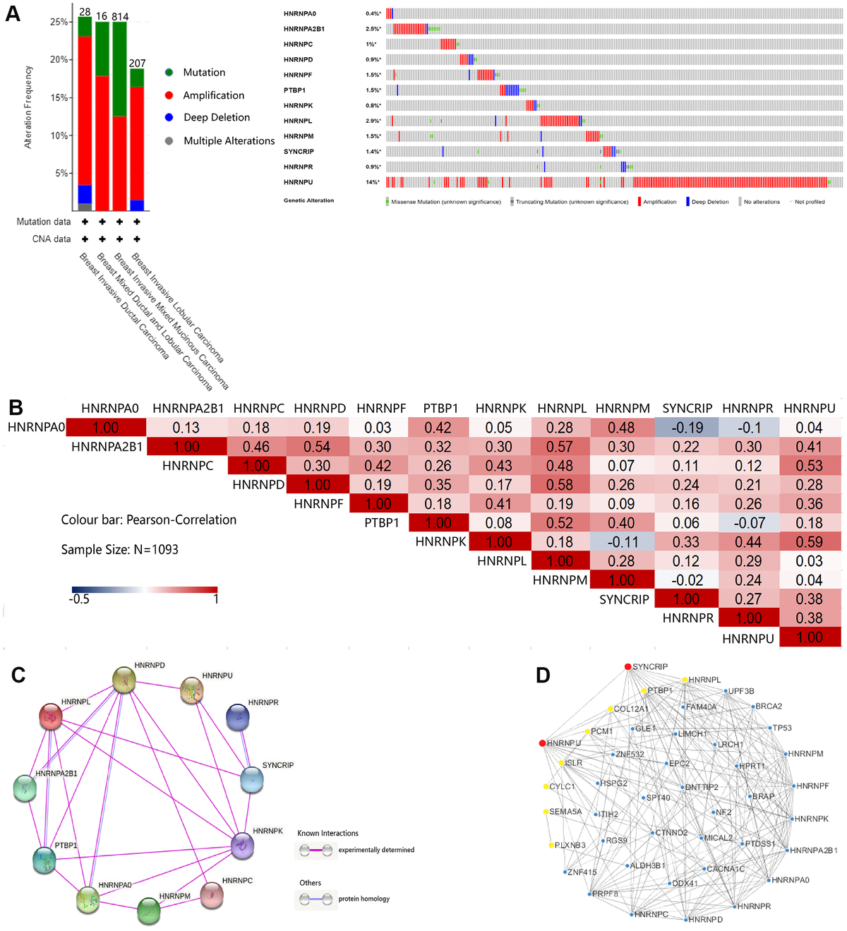 Identification Of Therapeutic Targets And Prognostic Biomarkers From ...