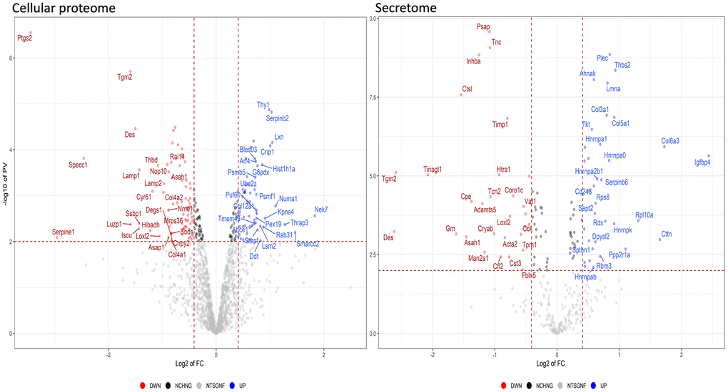 Quantitative changes in the protein expression of MSCs following HFD treatment. The volcano plot displays the results of up- and down-regulated proteins in HFD samples compared to ND samples. Panels data from cellular proteome and secretome, respectively.