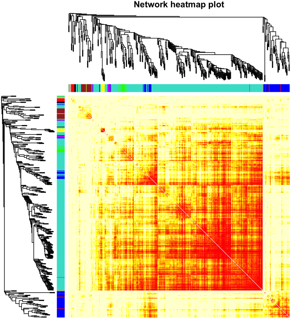 Heatmap of the gene network. TOM plot for all the genes in the analysis. Light colors represent low overlap and progressively darker (red) colors represent higher overlap. Darker blocks along the diagonal correspond to modules. The gene dendrogram and module assignment are also shown along the left and top sides.