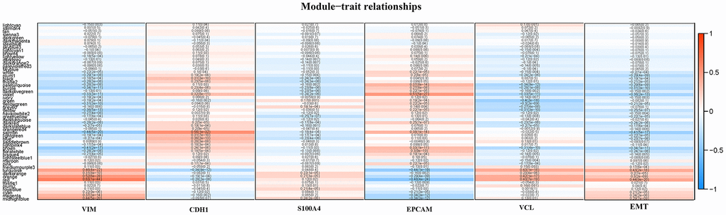 A heat map of the correlation between module eigengenes and the status of VIM, CDH1, S100A4, EPCAM, VCL expression and EMT.