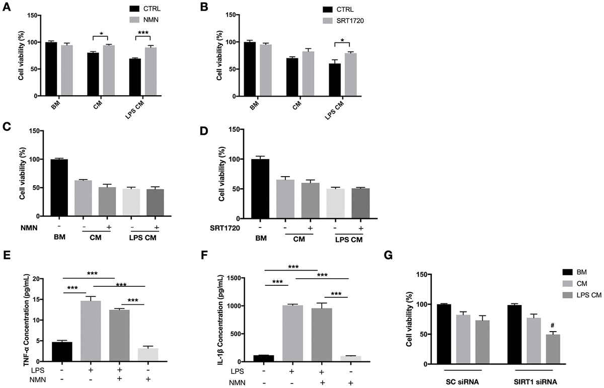 Neuroprotective effects and mechanisms of action of nicotinamide ...