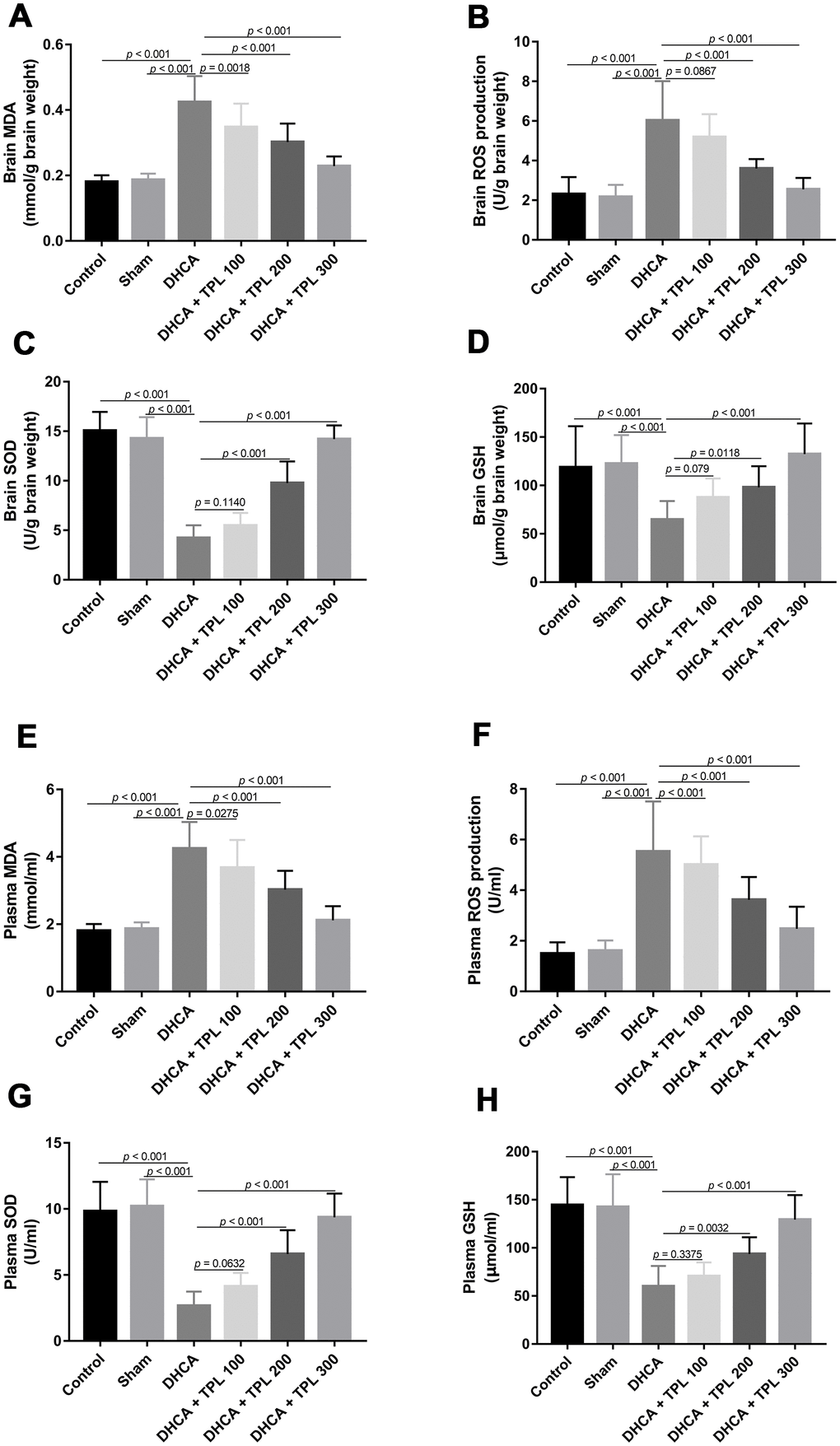 TPL inhibited DHCA induced oxidative stress in rats. On day 7 post operation, rats were euthanized and collected plasma and brain tissues to evaluate oxidative stress. The levels of brain MDA (A) and ROS production (B) were decreased with TPL treatment after DHCA. The activity of brain SOD (C) and GSH (D) was increased with TPL treatment after DHCA. Meanwhile, TPL treatment reduced plasma MDA (E) and ROS production (F) levels and increased the activities of SOD (G) and GSH (H) after DHCA. Values were presented as x¯±s (n = 10). Values were presented as x¯±s (n = 10). A difference with P 