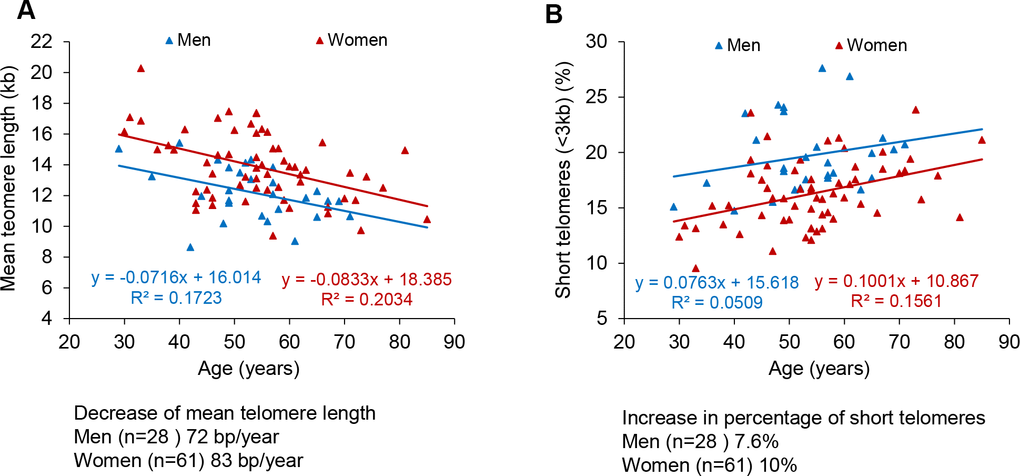Telomere shortening and of increase in short telomeres with age in men and women. (A, B) Percentage of short telomeres (A) and percent of short telomeres (B) in PMBCs from male (blue) and female (red) patients. Linear regression analysis was used to assess the rate of telomere shortening expressed as number of bp loss and the increase of the percentage of short telomeres per year.