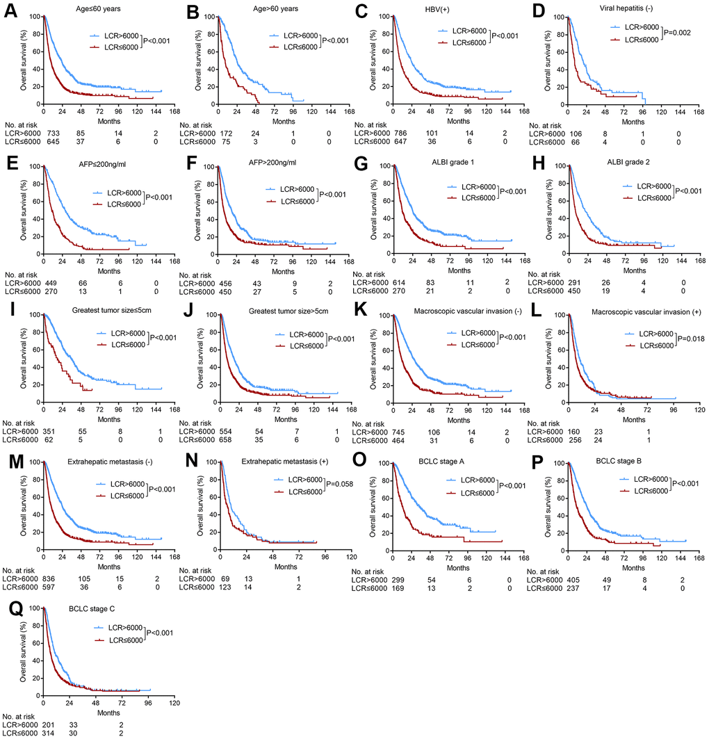 Subgroup analyses of overall survival for HCC patients who underwent TACE according to various tumor characteristics. (A) Age≤60 years; (B) age>60 years; (C) HBV positive; (D) absence of viral hepatitis (E) AFP≤200 ng/ml, (F) AFP>200 ng/ml, (G) ALBI grade 1, (H) ALBI grade 2, (I) greatest tumor size≤5 cm, (J) greatest tumor size>5 cm, (K) absence of macroscopic vascular invasion; (L) presence of macroscopic vascular invasion, (M) absence of extrahepatic metastasis; (N) presence of extrahepatic metastasis; (O) BCLC stage A, (P) BCLC stage B, (Q) BCLC stage C.