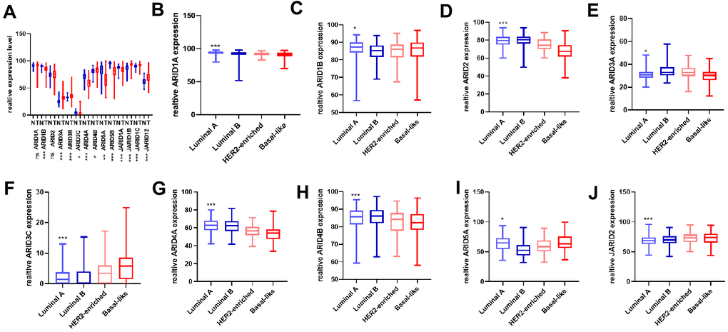Distinct expression of ARID members in breast cancer patients. (A) The mRNA expression of all the ARID members was assessed in cancer and normal tissues (p values were calculated grouping by Tumor(T)/Normal(N) and using t-test. (B–J) The mRNA expression of ARID1A, ARID1B, ARID2, ARID3A, ARID3C ARID4A, ARID4B, ARID5A, and JARID2 were assessed in different molecular subtypes(p values were calculated grouping by luminal A + luminal B VS. HER2-riched + basal-like and using t-test). (*p p p 