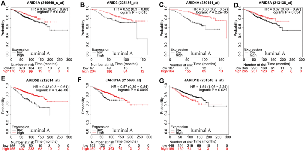 Prognostic values of ARID members in luminal A type breast cancer patients. (A–G) Survival curves of ARID1A(Affymetrix IDs: 210649