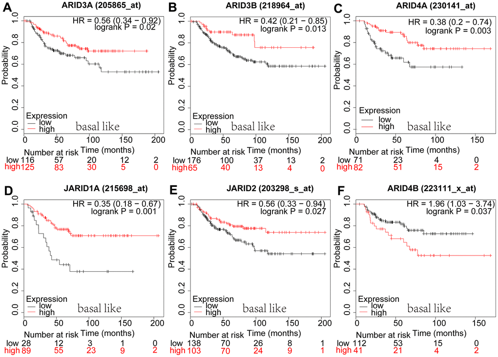 Prognostic values of ARID members in basal-like type breast cancer patients. (A–F) Survival curves of ARID3A(Affymetrix IDs: 205865