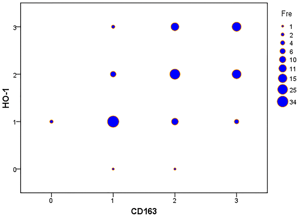 HO-1 immunohistochemical scoring significantly correlates with expression of CD163 in nasopharyngeal carcinoma tissues. Spearman’s correlation analysis demonstrates a significant correlation between the expression levels of HO-1 and CD163. The Spearman’s correlation coefficient is 0.536, p-value 