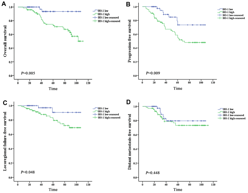 High expression of HO-1 is associated with worse prognosis of nasopharyngeal carcinoma. Survival was estimated by the Kaplan-Meier method and compared with log-rank tests. (A) The HO-1 high group exhibited significantly lower overall survival than the HO-1 low group (log-rank p-value = 0.005). (B) The HO-1 high group exhibited significantly lower progression-free survival than the HO-1 low group (log-rank p-value = 0.009). (C) The HO-1 high group exhibited significantly lower local-regional failure-free survival than the HO-1 low group (log-rank p-value = 0.048). (D) The HO-1 high group exhibited lower distant metastasis-free survival than the HO-1 low group, but the difference is not statistically significant (log-rank p-value = 0.448).