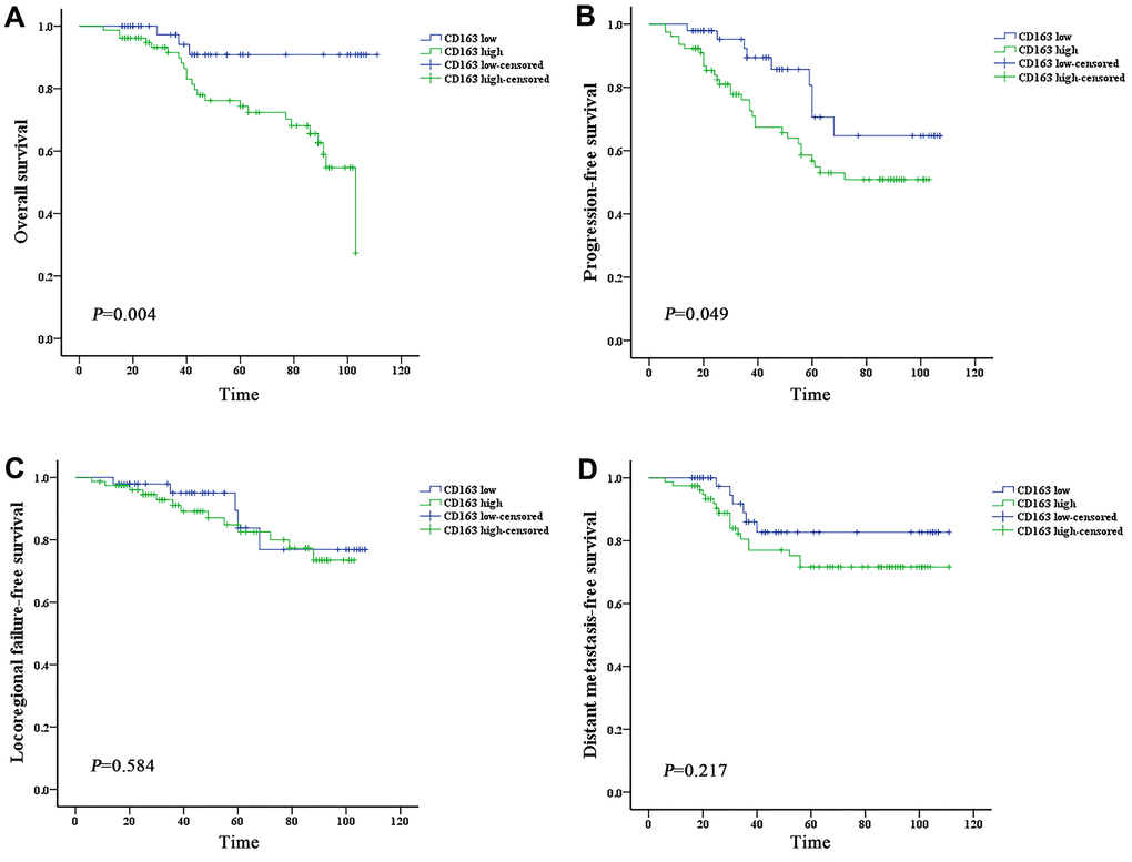High expression of CD163 is associated with worse prognosis of nasopharyngeal carcinoma. Survival was estimated by the Kaplan-Meier method and compared with log-rank tests. (A) The CD163 high group exhibited significantly lower overall survival than the CD163 low group (log-rank p-value = 0.004). (B) The CD163 high group exhibited significantly lower progression-free survival than the CD163 low group (log-rank p-value = 0.049). (C, D) The CD163 high group exhibited lower local-regional failure-free survival and distant metastasis-free survival than the CD163 low group, but the differences are not statistically significant (log-rank p-values>0.05).