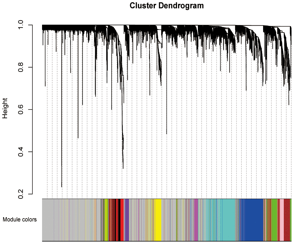 Weighted co-expression network establishment. The cluster dendrogram of the DEGs; each branch represents one gene and the co-expression modules are represented by different colors. DEGs, differentially expression genes.
