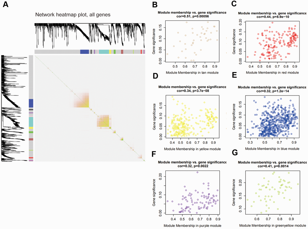 Interaction among modules and identification of pivotal modules. (A) Interaction of co-expression genes. Different colors of horizontal axis and vertical axis represent different modules. The brightness of yellow in the middle represents the degree of connectivity of different modules. (B–G) Scatter plots of module eigengenes in corresponding modules that correlated with clinical features.
