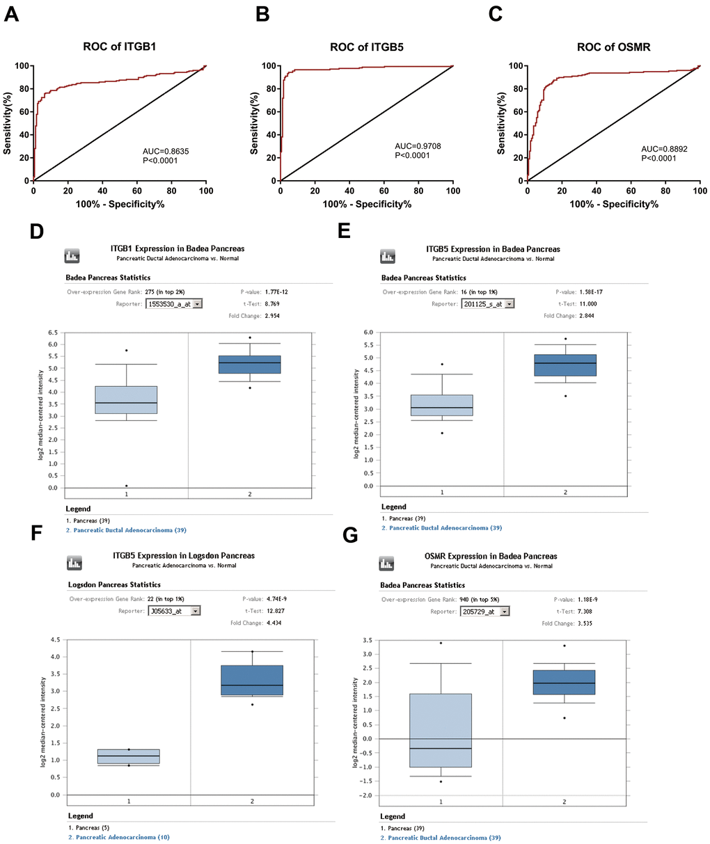Diagnostic significance of three key genes and validation of the expression levels of key genes. (A–C) ROC curves and AUC were utilized to evaluate the specificity and sensitivity of key genes on PAAD diagnosis. (D–G) Data from Oncomine datasets confirmed that ITGB1, ITGB5, and OSMR were significantly increased in PAAD tissues compared with normal controls. ROC, receiver operating characteristic; AUC, area under the curve; PAAD, pancreatic adenocarcinoma.