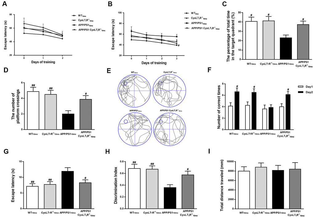 CysLT1R deficiency ameliorates cognitive decline in APP/PS1 mice. (A) The mean escape latency to the visible platform during day 1–2. (B) The mean escape latency to the hidden platform during day 3–5. (C) The percentage of time stayed in the target quadrant, and (D) numbers of platform crossings during day 6. (E) Representative swim paths of mice. In the Y-maze test, (F) the number of correct choices on days 1-2 and (G) the latency to enter the safe compartment on day 2. In NORT, (H) discrimination index shown by the time spent exploring the novel object relative to the total time spent exploring both novel and familiar objects. In open field test, (I) the total distance traveled was analyzed. All values are expressed as mean ± SEM, n = 8, #P##P###P