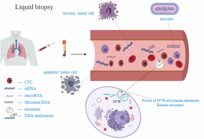 Some studies on circulating miRNAs for diagnosis of lung cancer.