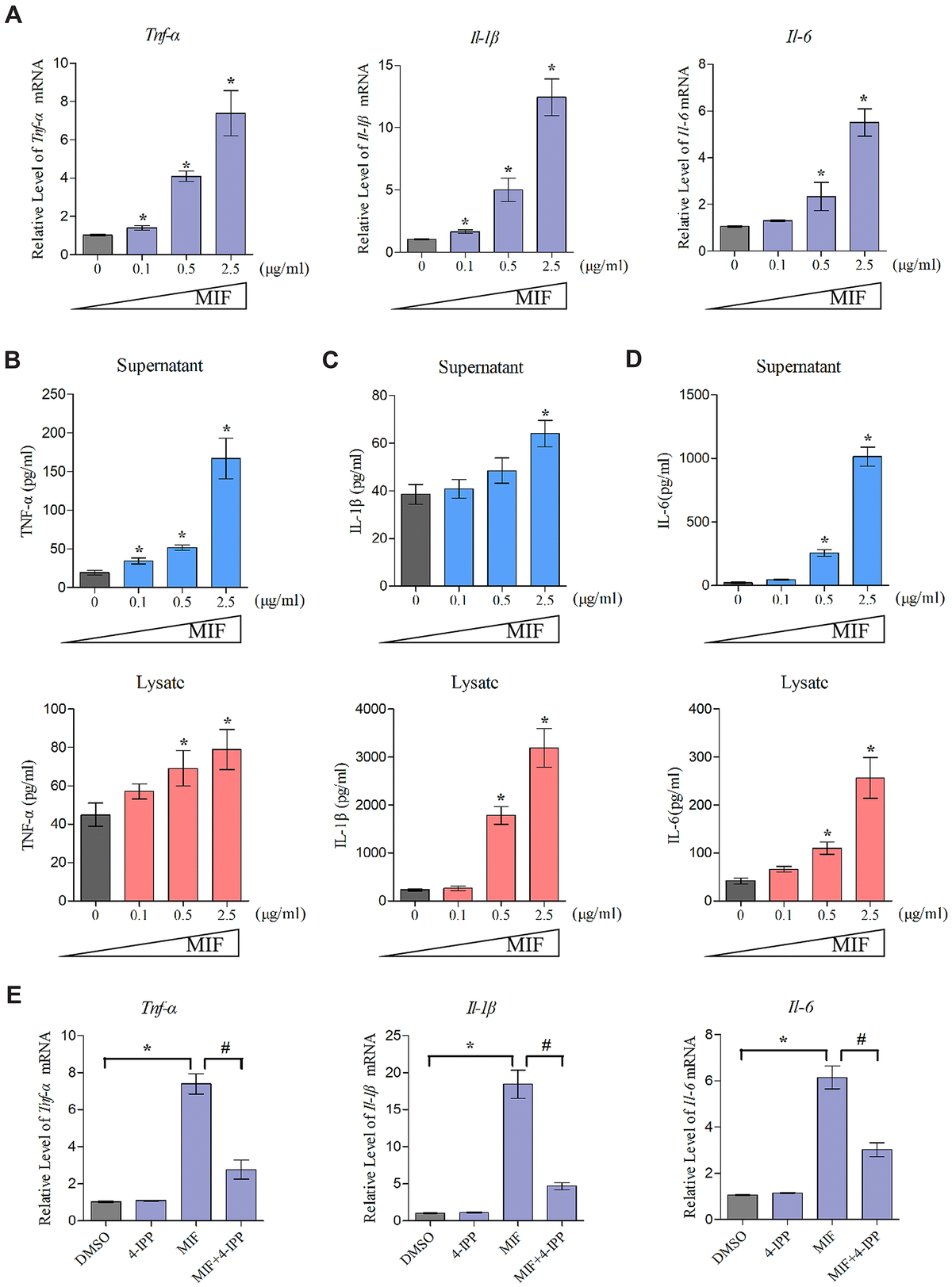 Macrophage migration inhibitory factor activates the inflammatory ...