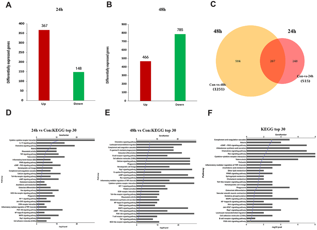 Aging | Macrophage Migration Inhibitory Factor Activates The ...