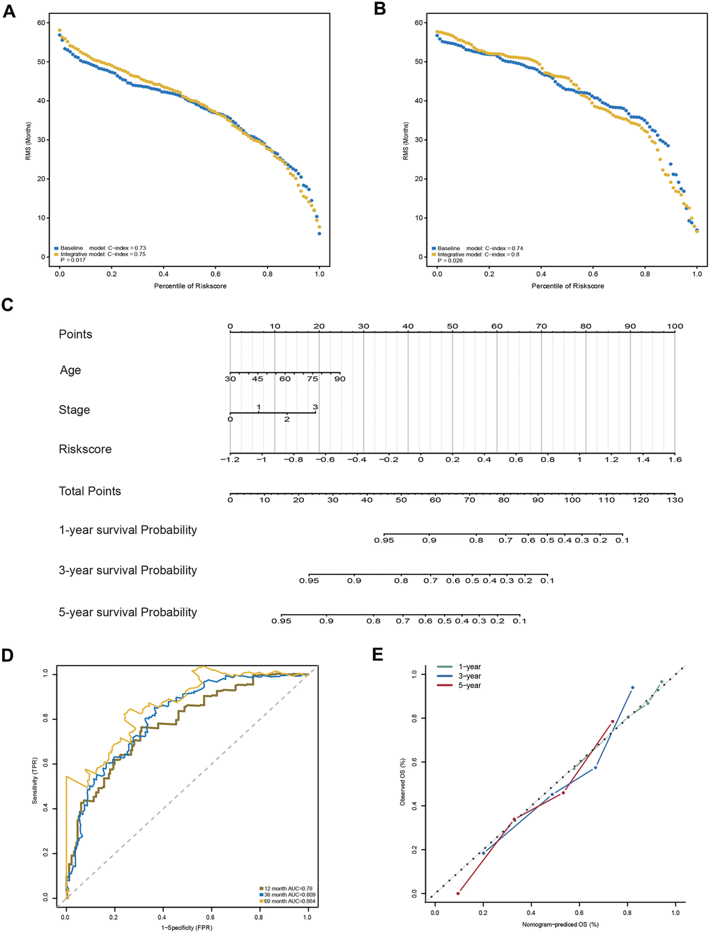 Construction and evaluation of the AS-clinical nomogram for GC patients. (A, B) RMS curves for the 23-AS event prognostic signature and the AS-clinical signature in the training and validation datasets. P-values represent the difference between the two signatures in terms of the C-index. (C) Nomogram prediction of 1-year, 3-year, and 5-year OS. For stage, 0 means TNM stage I, 1 means TNM stage II, 2 means TNM stage III, and 3 means TNM stage IV. (D) Time-dependent ROC curves for the nomogram at different time points. (E) Calibration curves of observed and predicted probabilities for the nomogram.