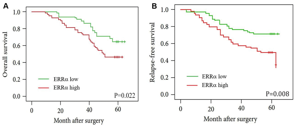 Kaplan-Meier curves for patients with low ERRα expression versus high ERRα expression. (A) OS curves of patients with low and high expression of ERRα, P=0.022; (B) RFS curves of patients with low and high expression of ERRα, P=0.008.