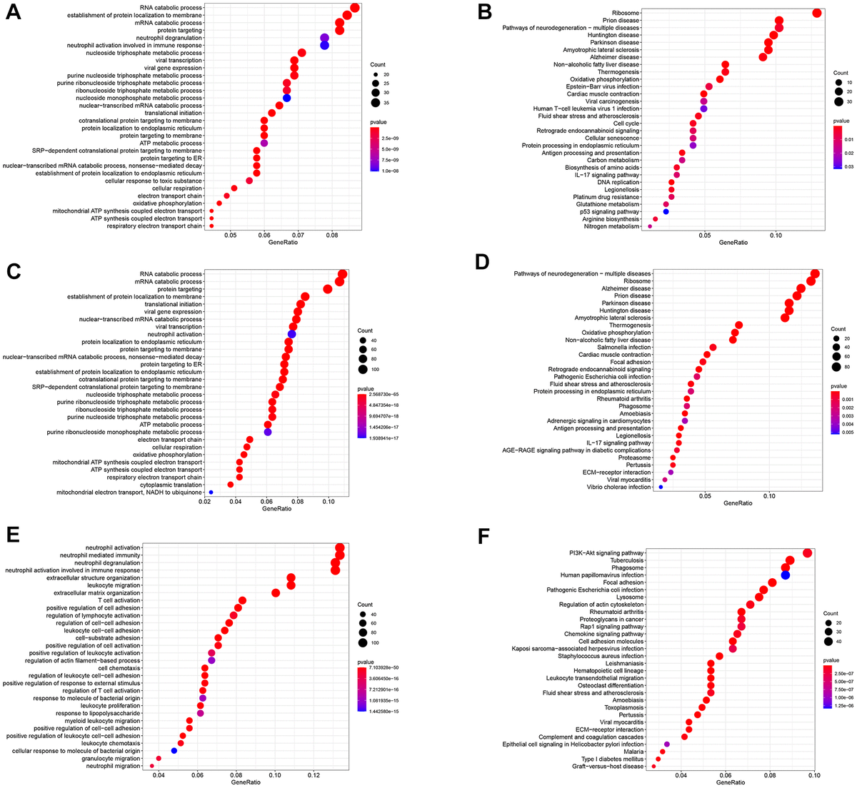 Cell Differentiation Trajectory Predicts Patient Potential ...