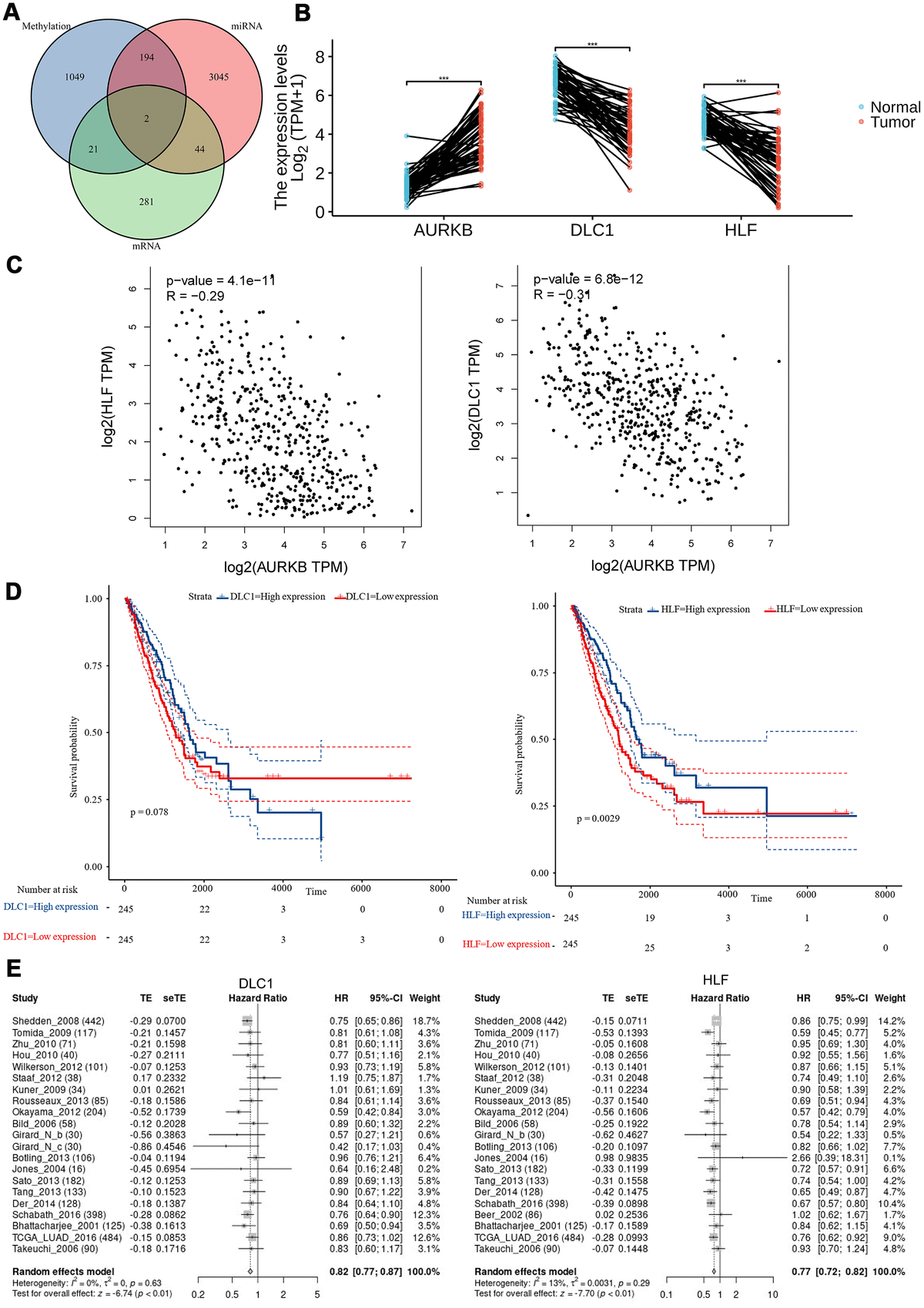 Multi-omics Analysis Identifies Potential Mechanisms Of AURKB In ...