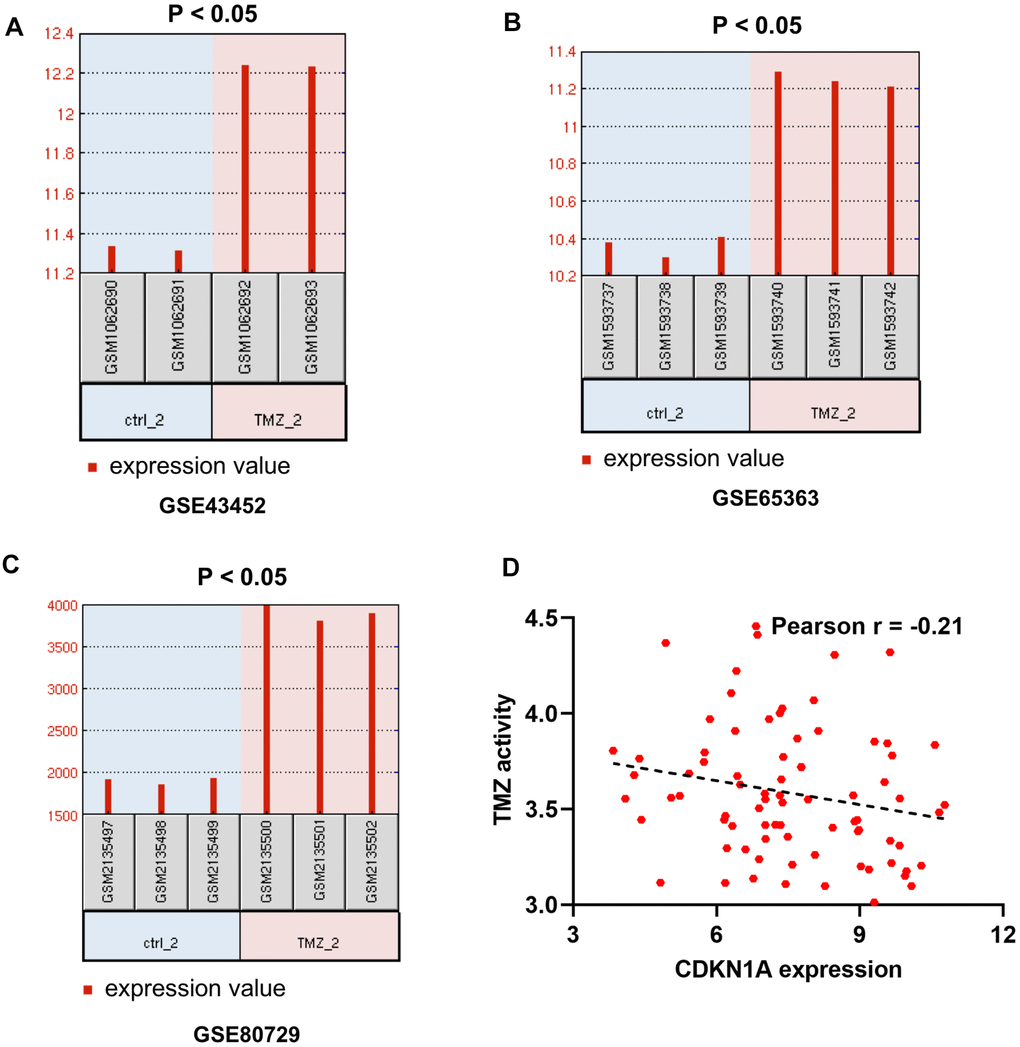 The effect of CDKN1A on the therapeutic response of GBM patients. (A–C) GSE43452, GSE65363 and GSE80729 are three microarray datasets related to TMZ chemotherapy and are employed to identify the impacts of CDKN1A expression levels on GBM therapy. (D) the expression levels of CDKN1A might be negative correlation with TMZ activity in 79 glioma cells from CellMinerCDB.