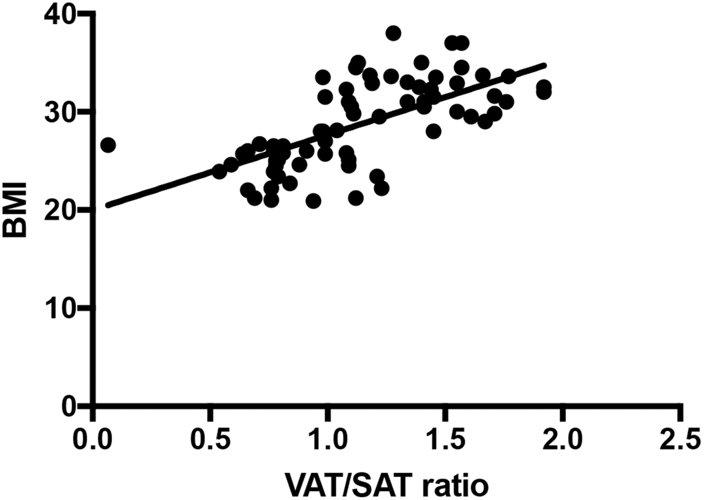 VAT/SAT ratio correlates with BMI (r = 0.652, P 