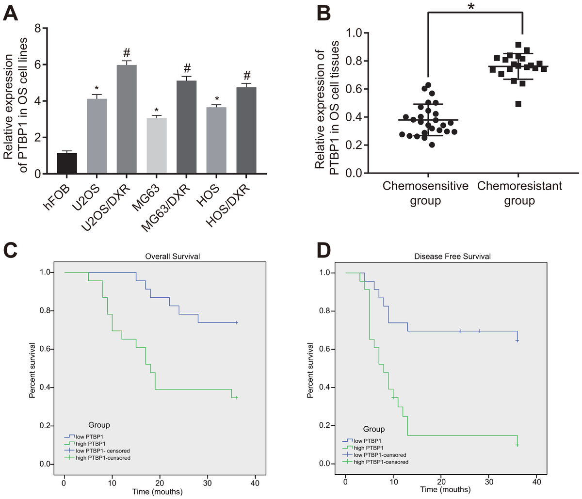 transcription-factor-elk1-accelerates-aerobic-glycolysis-to-enhance