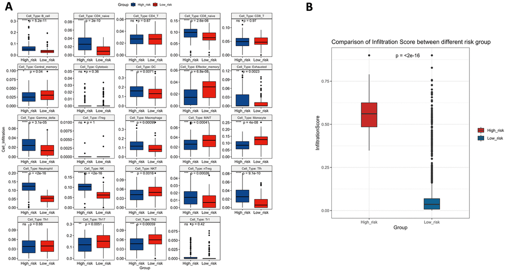 (A) The difference in tumour-infiltrating immune cells among risk groups as defined by the 10-lncRNA prognostic signature. (B) The difference in infiltration score among risk groups as defined by the 10-lncRNA prognostic signature.