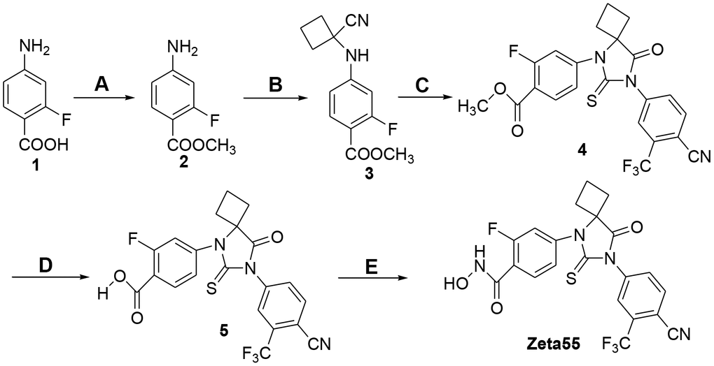 Synthesis of compound Zeta55. (A) MeOH, SOCl2, reflux, 3h, 95.5%; (B) cyclobutanone, KCN, HOAc, 80° C, 12h, 92.5%; (C) 4-cyano-3-trifluomethylbenzamine, thiophosgene, DMF, 70° C, 24h, 30.2%; (D) 1mol/L NaOH, MeOH, 20° C, 4h, 98.2%; (E) CDI, NH2OH.HCl, dry THF, 10h, 28.1%.