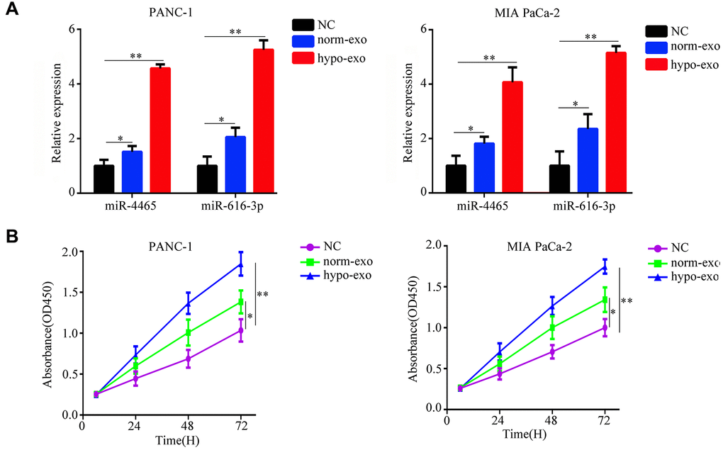 Hypoxic PSC-derived exosomal miR-4465 and miR-616-3p act on PC cells to stimulate proliferation. PANC-1 and MIA PaCa-2 cells were treated with exosomes secreted from hypoxic or normoxic PSCs. EV-depleted complete medium was used as control. (A) RT-qPCR analysis of miR-4465 and miR-616-3p expression in PC cells. (B) CCK-8 proliferation assay results. *P