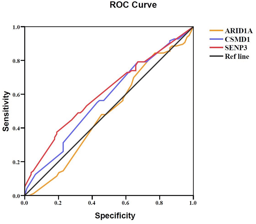 Prognostic value of ARID1A, CSMD1, and SENP3 expression in HCC tissues. A ROC curve analysis was performed to evaluate the prognostic power of the genes. ARID1A, CSMD1, and SENP3 yielded AUC values of 0.489 (95% CI: 0.402–0.576; P > 0.05), 0.573 (95% CI: 0.488–0.658; P > 0.05), and 0.609 (95% CI: 0.526–0.692; P = 0.013), respectively. P 