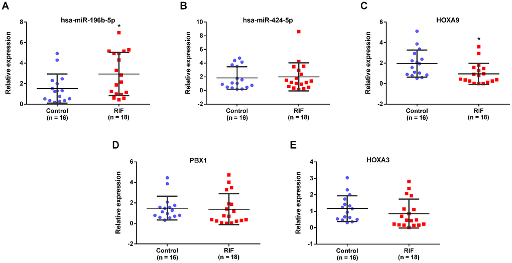 Expression verification of miRNAs and mRNAs in the subnetwork. The expression of has-miR-196b-5p (A), has-miR-424-5p (B), HOXA9 (C), PBX1 (D) and HOXA3 (E) in endometrial tissues of RIF and the control group.