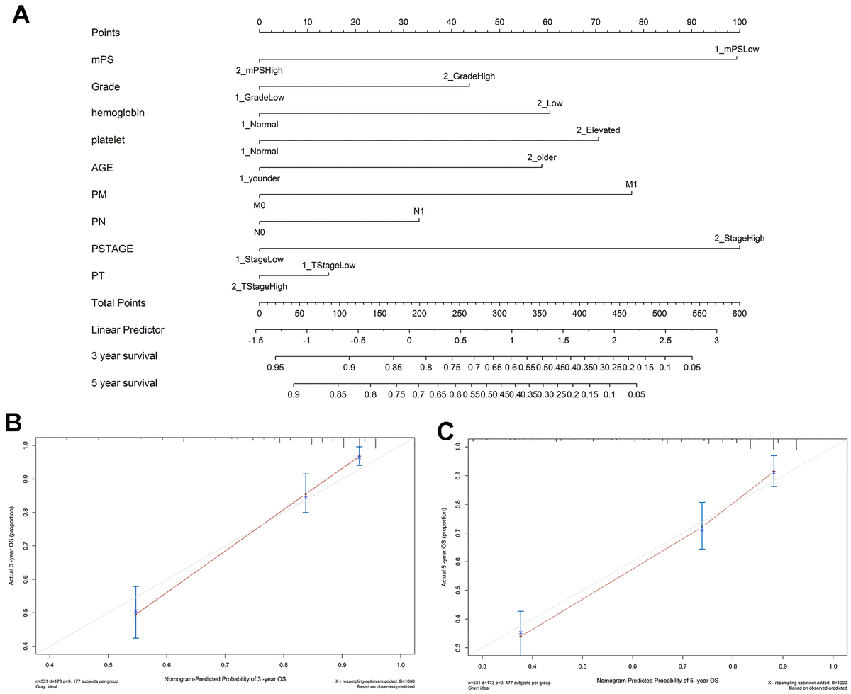 Artificial Intelligence Prediction Model For Overall Survival Of Clear ...