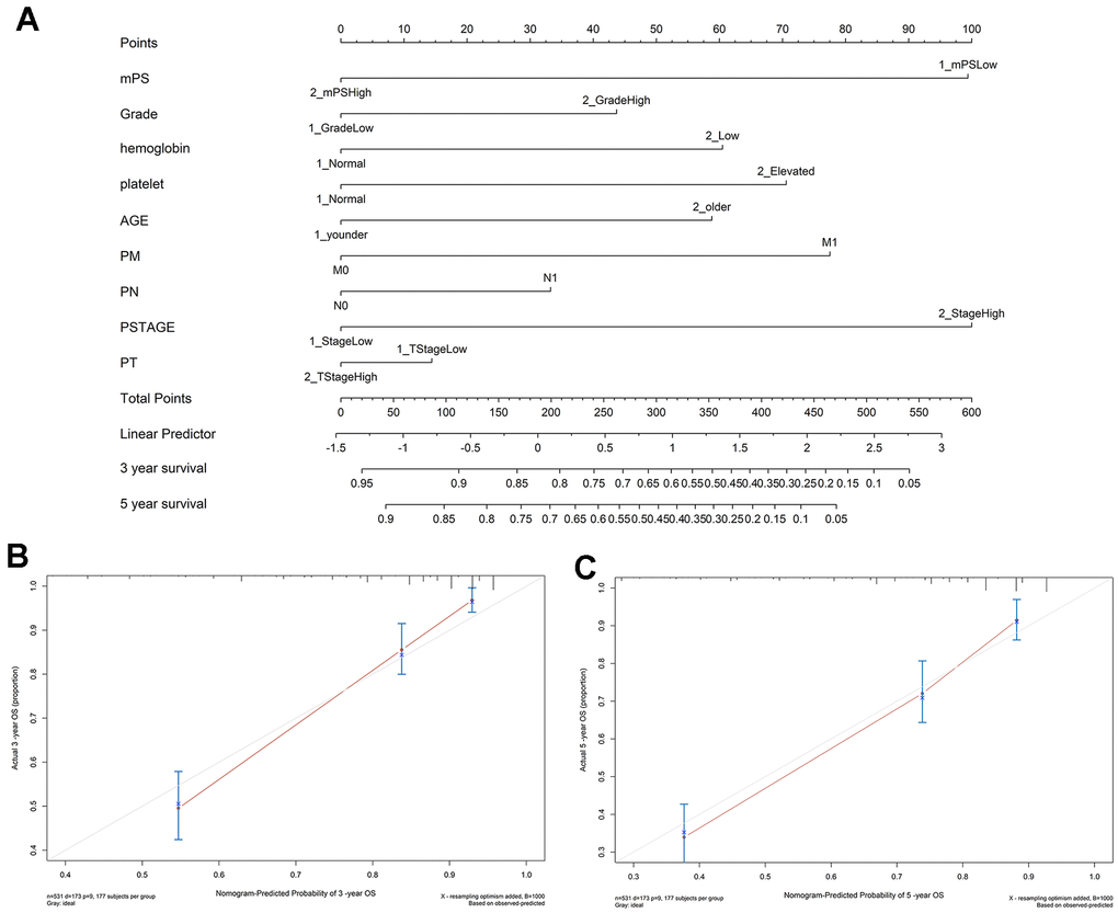 Nomogram construction results. (A) Nomogram to predict the 3- and 5-year OS for ccRCC patients in the TCGA cohort; (B, C) calibration curves for the nomogram model of the 3- and 5-year OS.